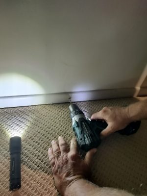 Drilling to Treat Active Termites